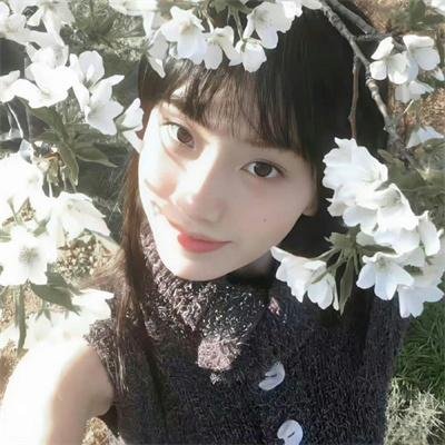 丑闻录带大阴谋